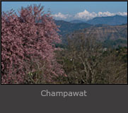 Champawat